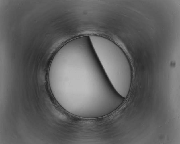 X0000093720106200710160800