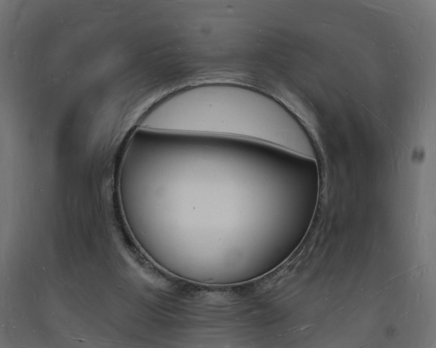 X0000093720107200710160800