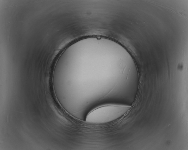 X0000093720108200710160800