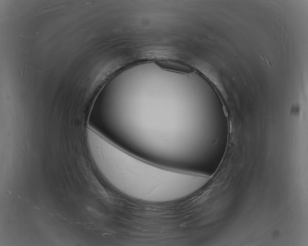 X0000093720109200710160800
