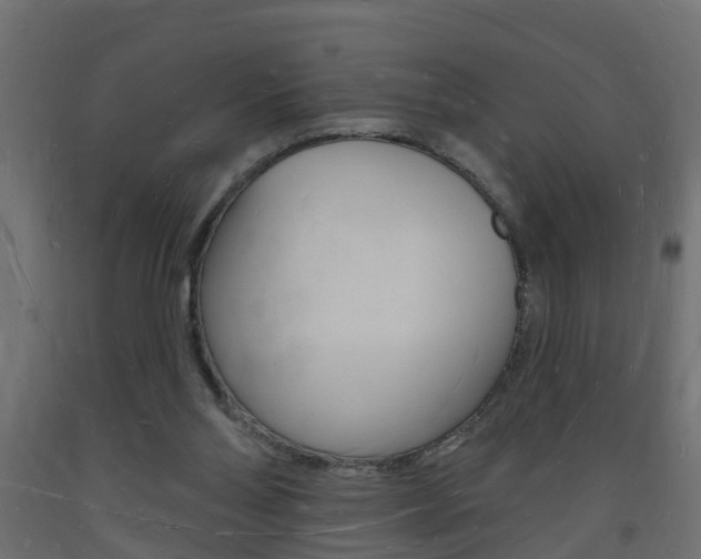 X0000093720110200710160800