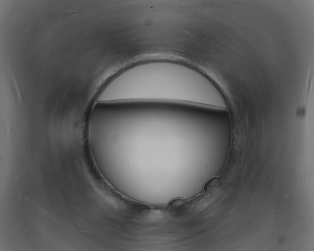 X0000093720111200710160759