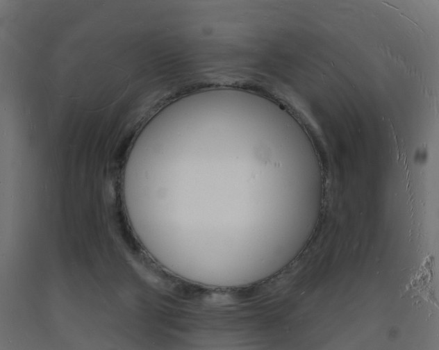 X0000093720114200710160759