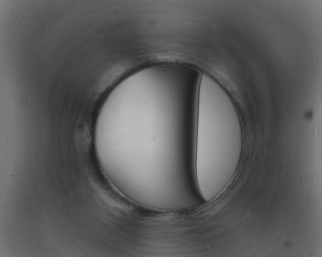 X0000093720116200710160759