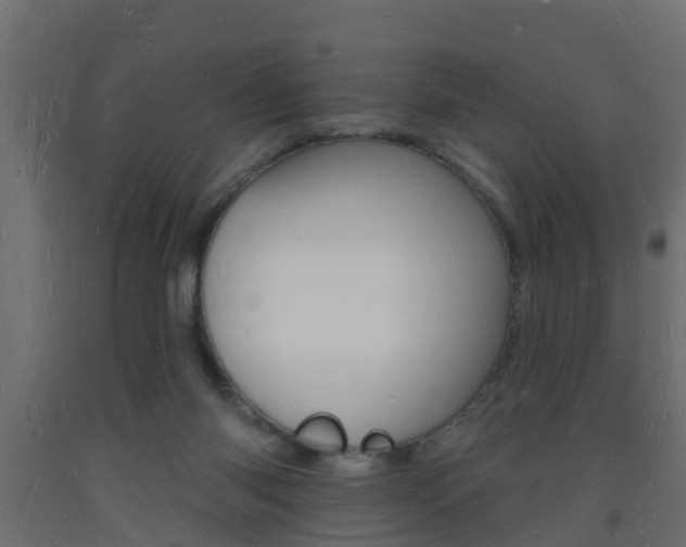 X0000093720118200710160759