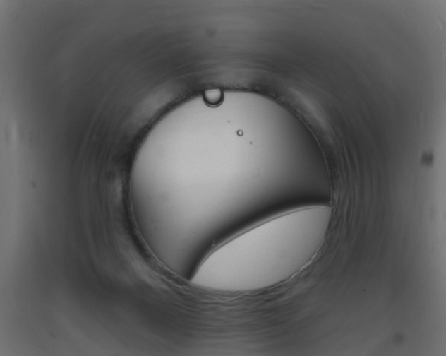 X0000093720120200710160759