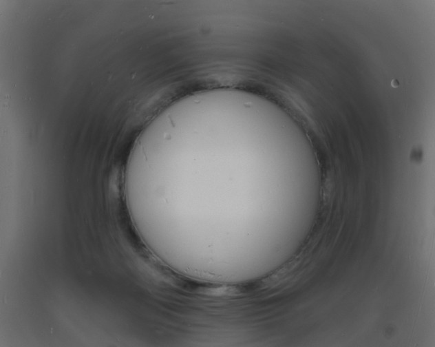 X0000093720122200710160759
