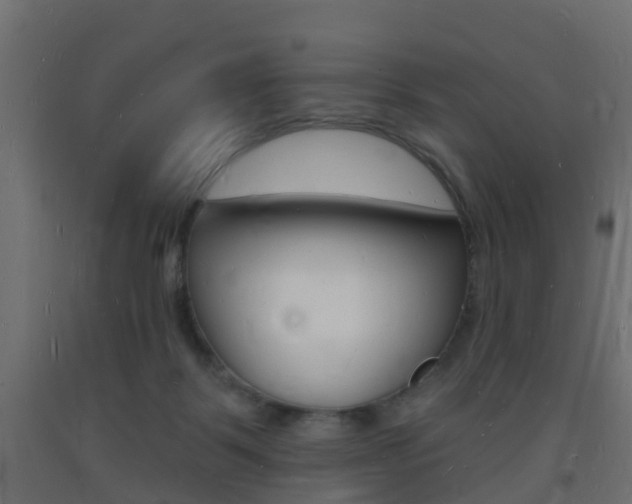 X0000093720123200710160759