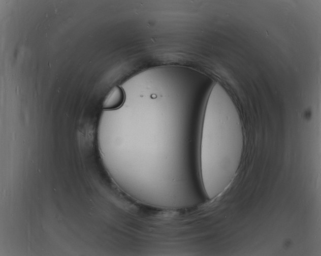 X0000093720124200710160759