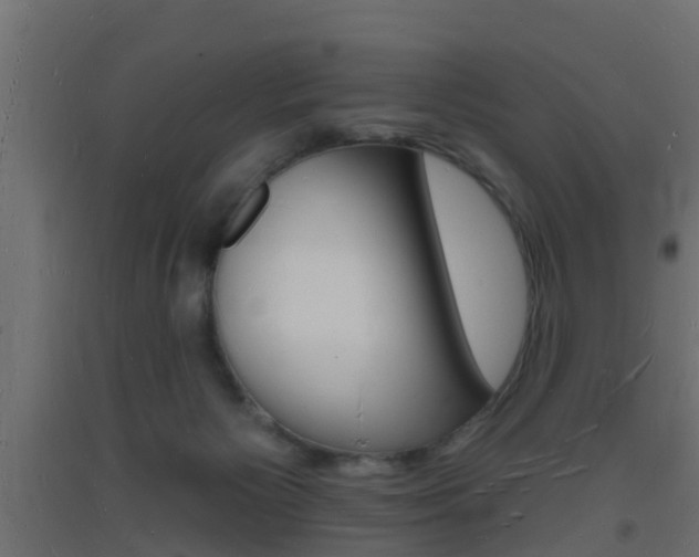 X0000093720125200710160759