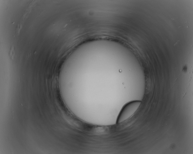 X0000093720126200710160759