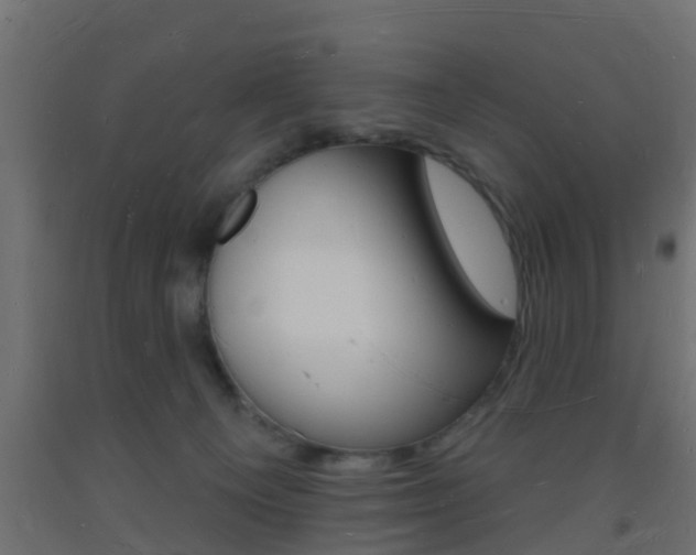 X0000093720129200710160759