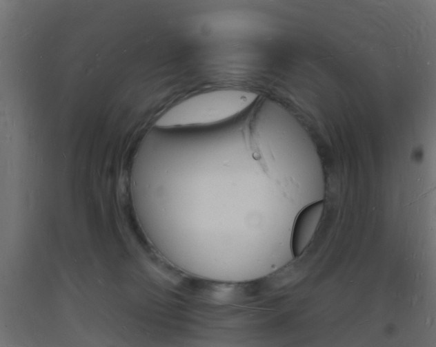 X0000093720130200710160759