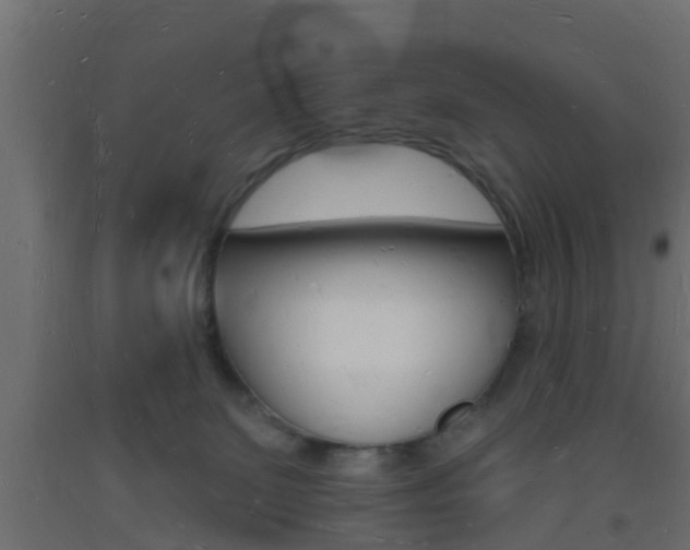 X0000093720131200710160759
