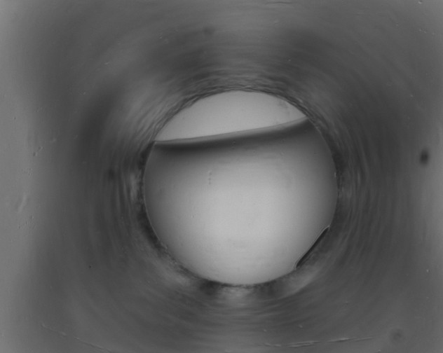 X0000093720139200710160759