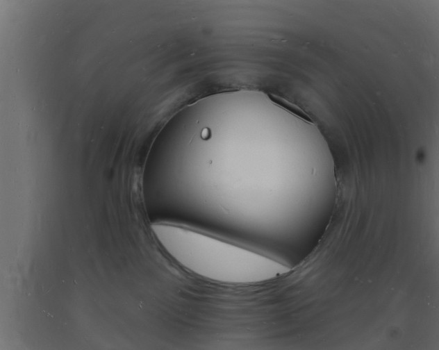 X0000093720141200710160759