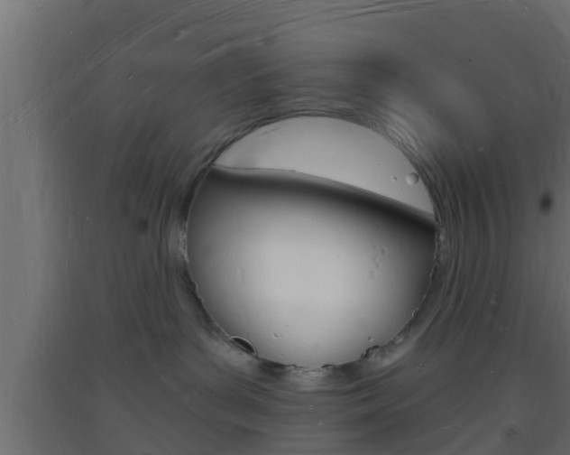 X0000093720143200710160759