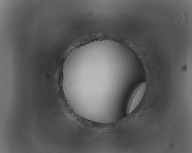 X0000093720144200710160759