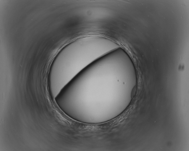 X0000093720145200710160758
