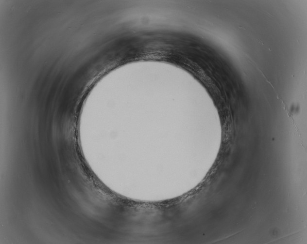 X0000093720146200710160758