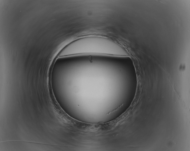 X0000093720148200710160758