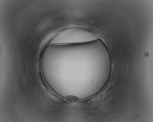 X0000093720149200710160758