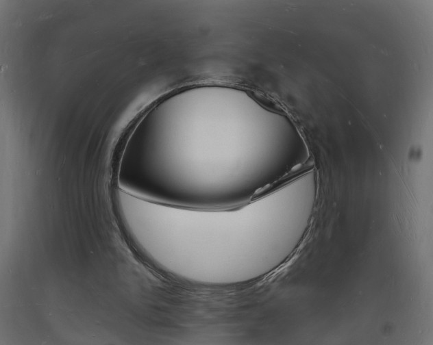 X0000093720150200710160758