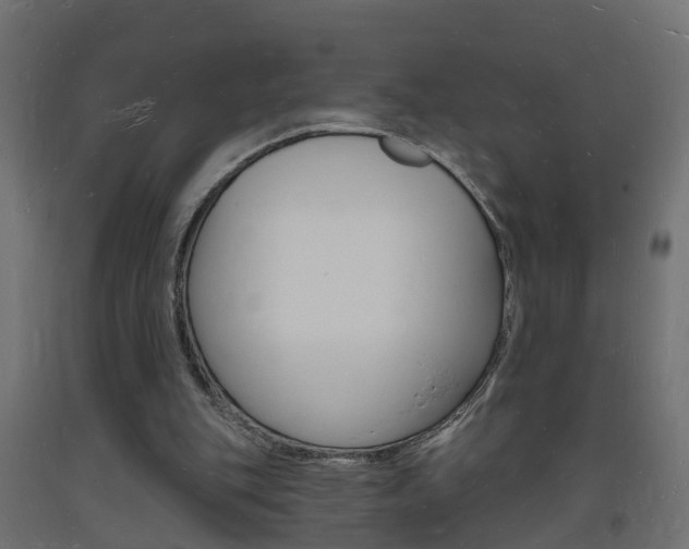 X0000093720151200710160758