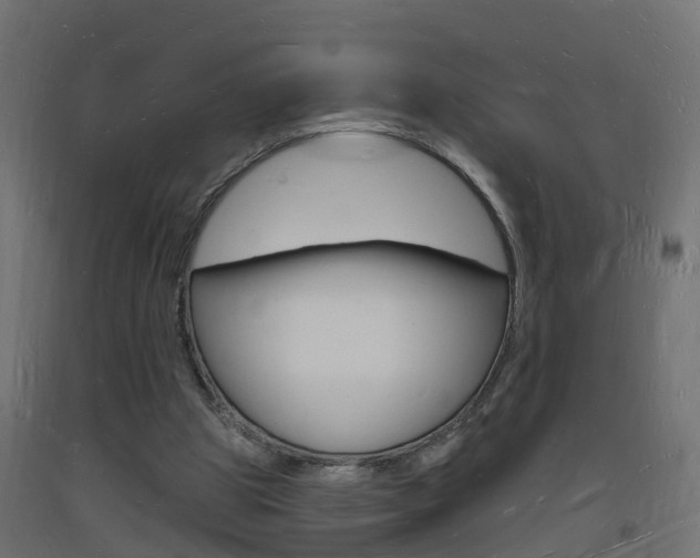 X0000093720153200710160758