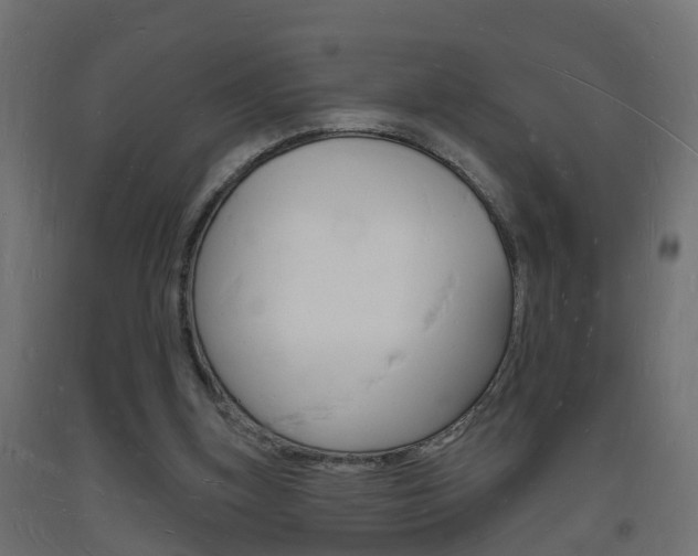 X0000093720155200710160759