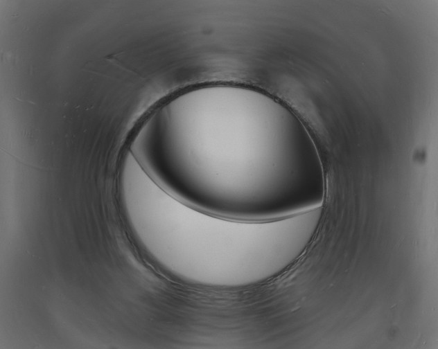 X0000093720156200710160759