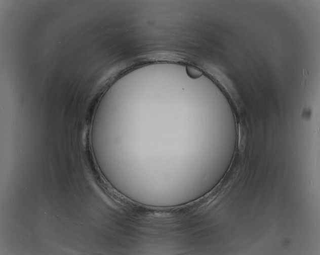 X0000093720157200710160759