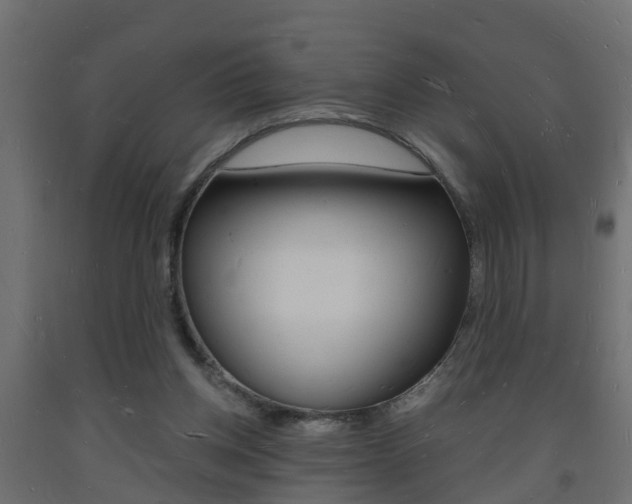 X0000093720158200710160759