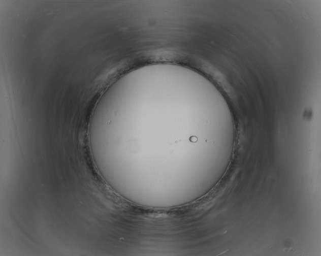 X0000093720161200710160759