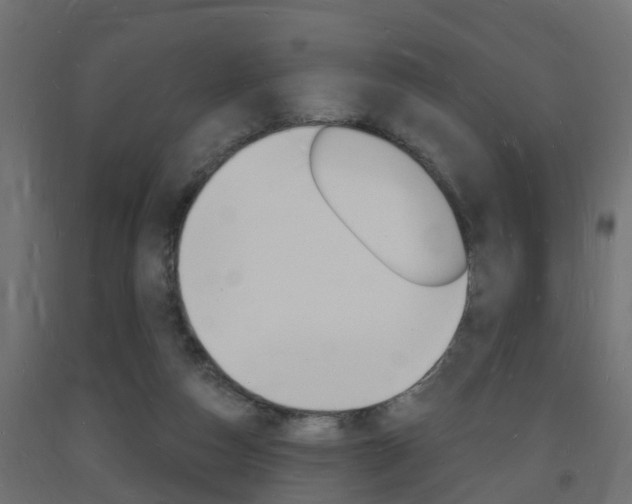 X0000093720162200710160759