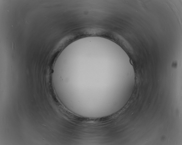 X0000093720163200710160759