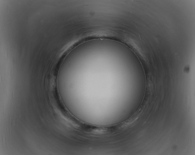 X0000093720164200710160759