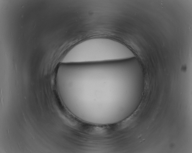 X0000093720166200710160759