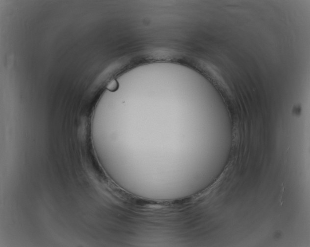 X0000093720167200710160759