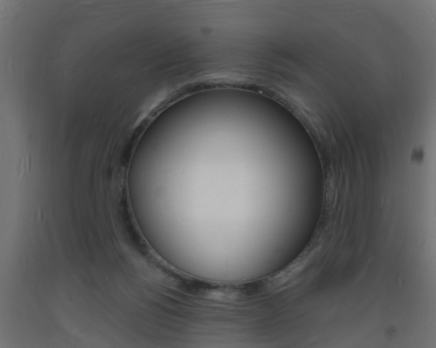 X0000093720168200710160759
