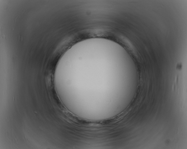 X0000093720169200710160759
