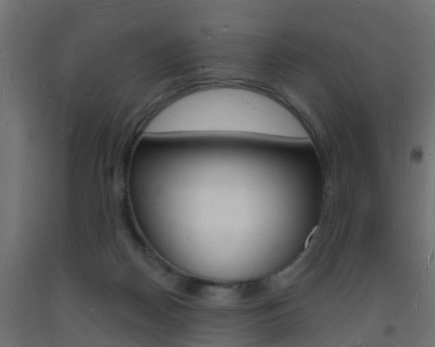 X0000093720170200710160759
