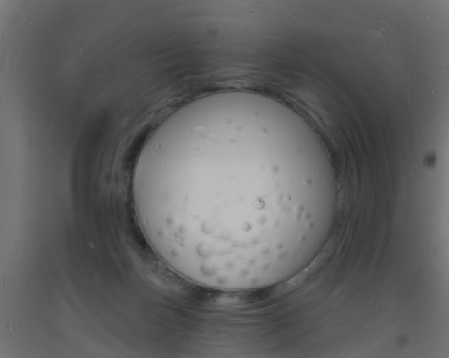 X0000093720171200710160759