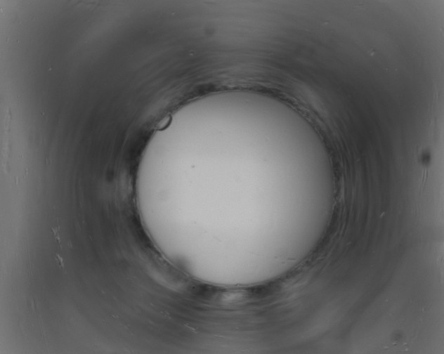 X0000093720173200710160759