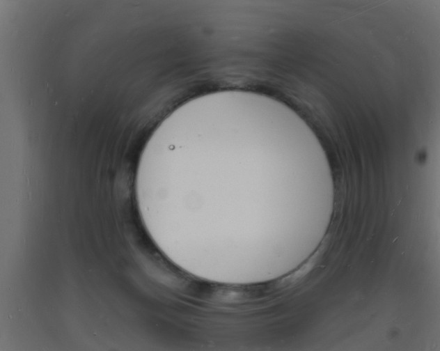X0000093720174200710160759