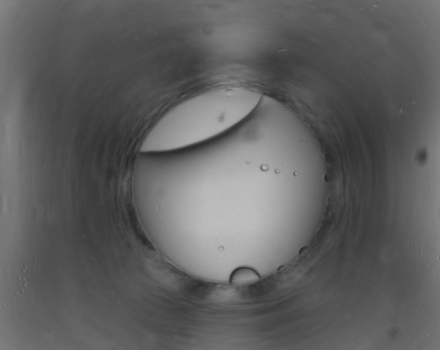 X0000093720177200710160759