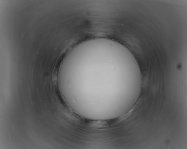 X0000093720179200710160759