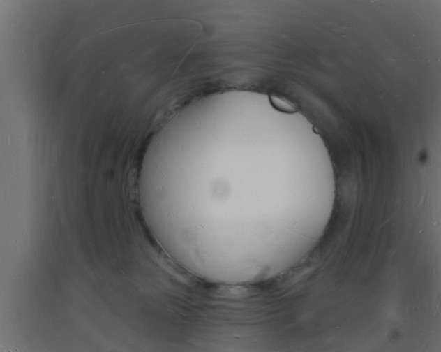 X0000093720181200710160759