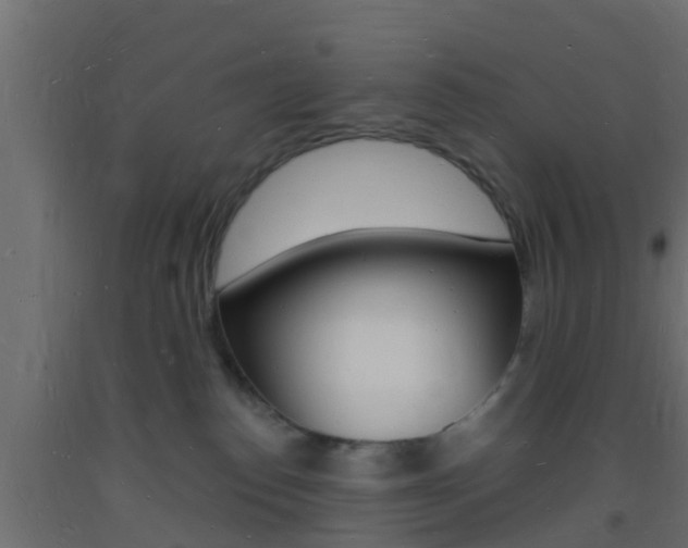 X0000093720186200710160759