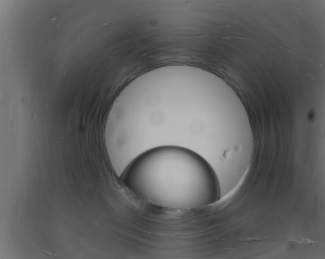 X0000093720190200710160759